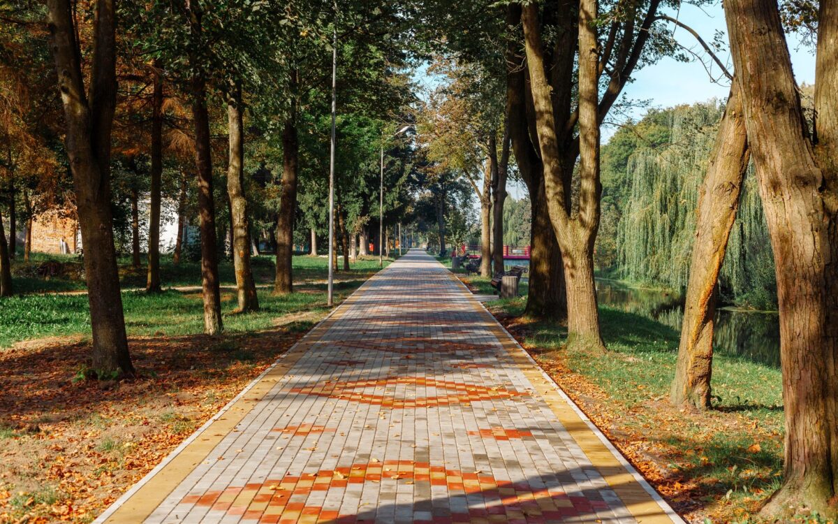 Hemodiyaliz mi, Periton Diyalizi mi? Karar Vermek İçin Rehber