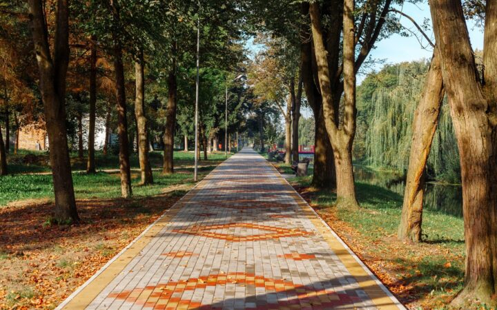 Hemodiyaliz mi, Periton Diyalizi mi? Karar Vermek İçin Rehber